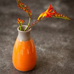 Jutranja rosa glazura 9540 200 ml