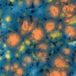 Dan neodvisnosti glazura CR 925 118 ml